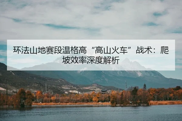 环法山地赛段温格高“高山火车”战术：爬坡效率深度解析