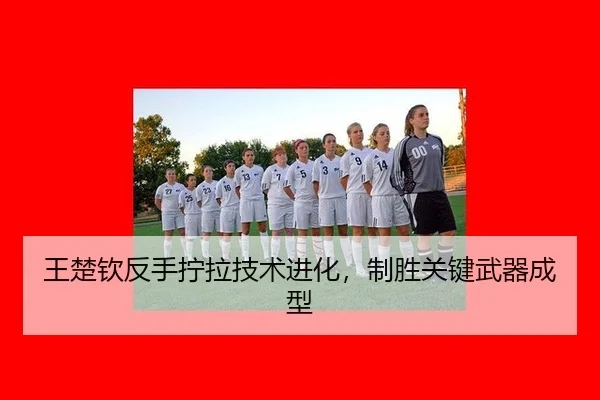 wang-chu-qin-fan-shou-ning-la-ji-shu-jin-hua-zhi-sheng-guan-jian-wu-qi-cheng-xing-2-691.jpg